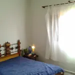 Casa Central Ribeirao