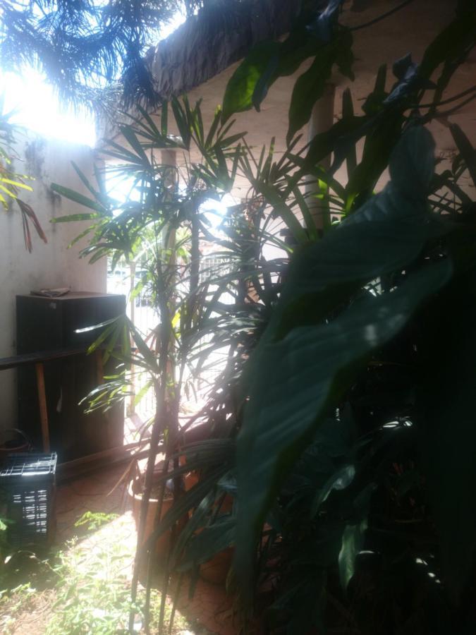 Holiday home Casa Ribeirao